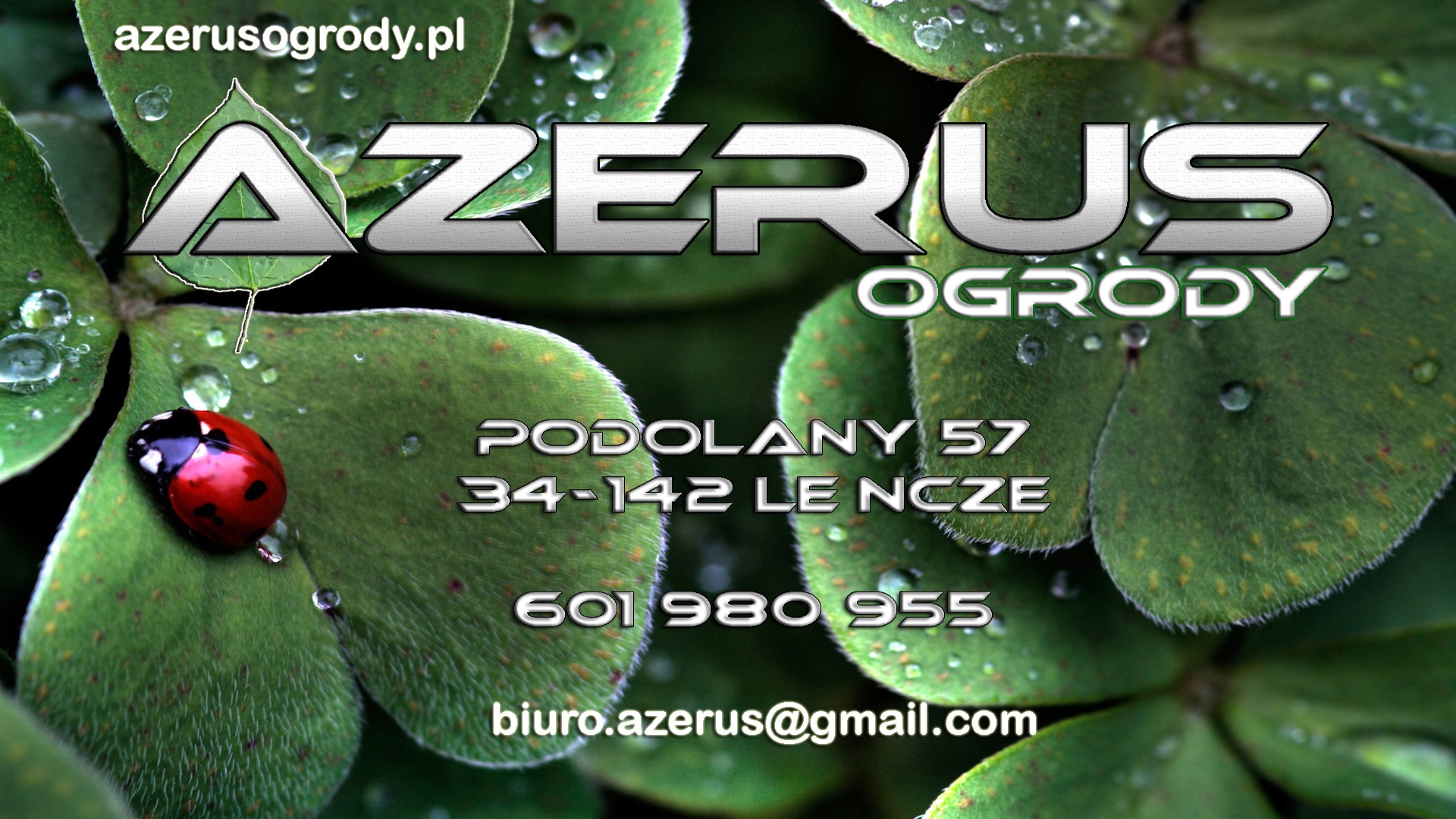 Koniczyna z kroplami wody i biedronką, na której widoczne są dane kontaktowe firmy zajmującej się ogrodami.