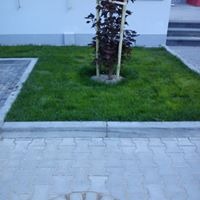 Wykładanie trawy z rolki