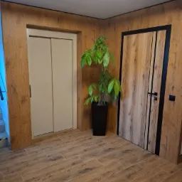 Wnętrze z drewnopodobnymi panelami ściennymi, dwojgiem drzwi, z których jedne są przesuwne, oraz doniczką z rośliną, oświetlone nowoczesną lampą sufitową.