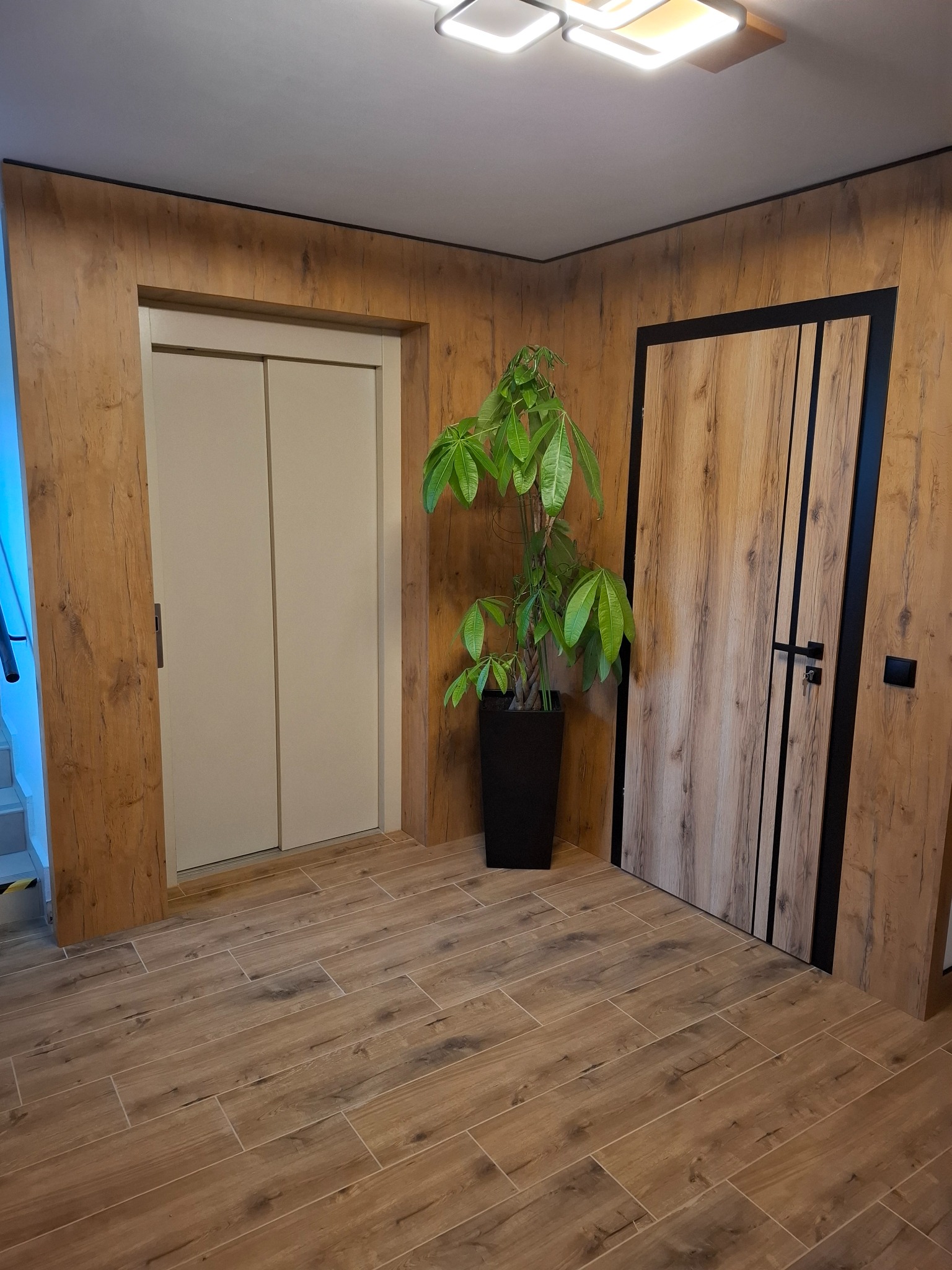 Wnętrze z drewnopodobnymi panelami ściennymi, dwojgiem drzwi, z których jedne są przesuwne, oraz doniczką z rośliną, oświetlone nowoczesną lampą sufitową.
