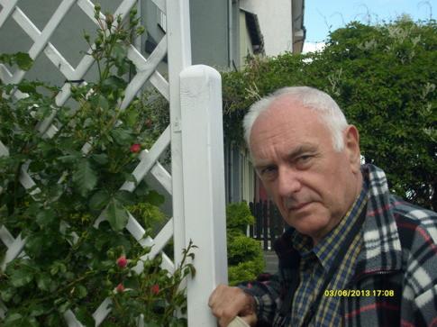 Mężczyzna w kraciastej koszuli pozuje obok białej, drewnianej kratownicy z pnącymi różami w ogrodzie.