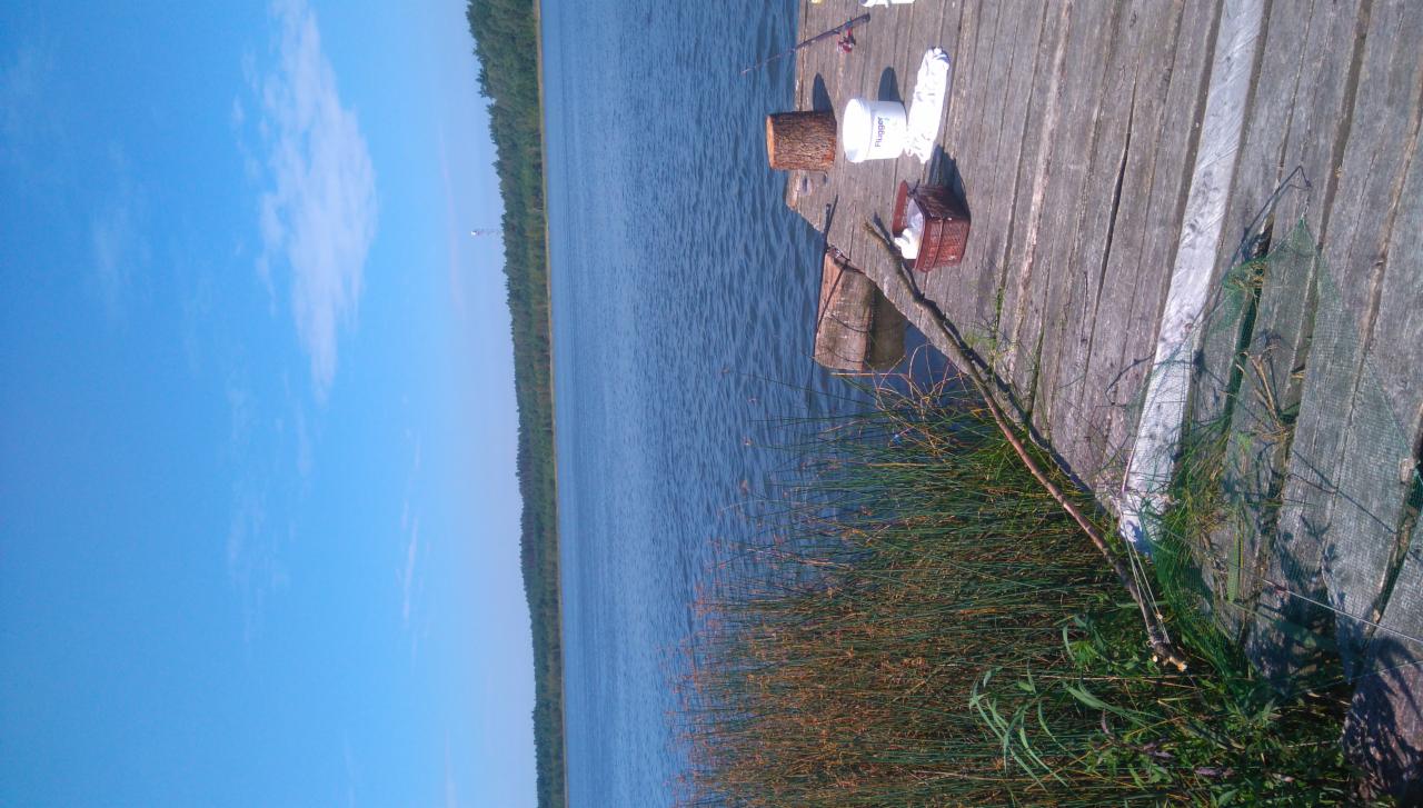 Drewniany pomost nad jeziorem w słoneczny dzień, z wędką, siatką i akcesoriami wędkarskimi. W tle widoczny las.