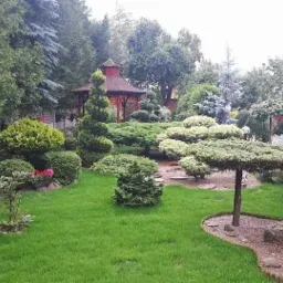 Starannie zaprojektowany i wypielęgnowany ogród z różnorodnymi roślinami, w tym formowanymi drzewami i krzewami, altaną w tle oraz elementami dekoracyjnymi w stylu japońskim, takimi jak kamienna...