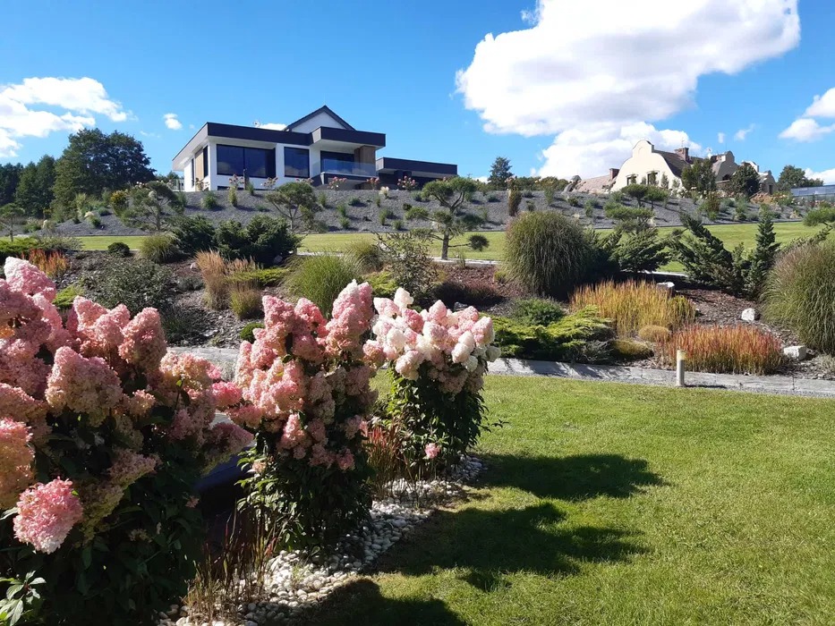 Rozległy, wypielęgnowany ogród z kwitnącymi hortensjami 'Pinky Winky' na pierwszym planie, ozdobne trawy i krzewy na zboczu, nowoczesny dom w tle, jasne niebo z chmurami.