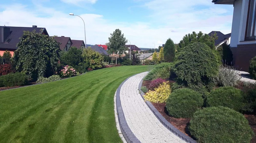 Utrzymany w idealnym stanie trawnik ze ścieżką z jasnej kostki brukowej z ciemnymi obrzeżami, prowadzącą przez zadbane nasadzenia krzewów i kwiatów, na tle zabudowy jednorodzinnej.