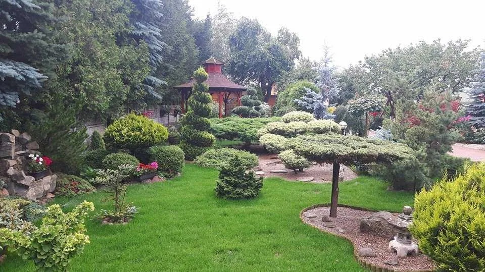 Starannie zaprojektowany i wypielęgnowany ogród z różnorodnymi roślinami, w tym formowanymi drzewami i krzewami, altaną w tle oraz elementami dekoracyjnymi w stylu japońskim, takimi jak kamienna...