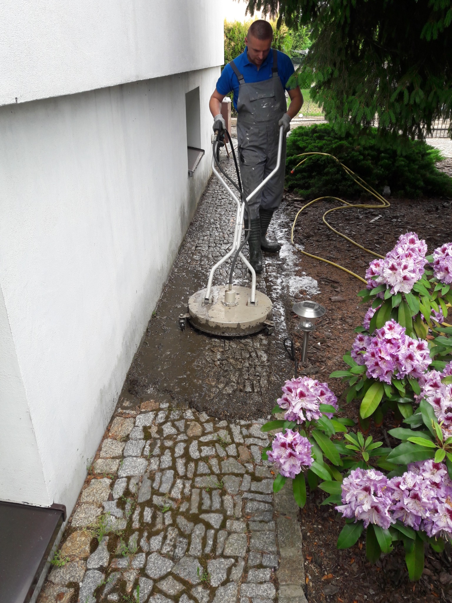 Pracownik w szarym kombinezonie czyści kostkę brukową przy białej elewacji domu za pomocą okrągłej myjki ciśnieniowej, obok rosną fioletowe rododendrony.