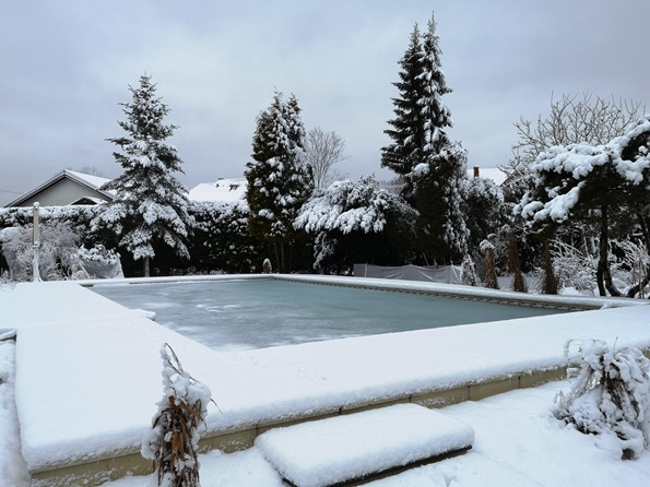 Zimowy krajobraz z basenem przykrytym śniegiem, otoczonym ośnieżonymi drzewami iglastymi i krzewami. Szary dzień, śnieżna sceneria.