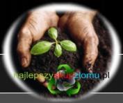 skup złomu, metali kolor i akumulatorów