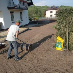 wykonywanie trawnika z siewu