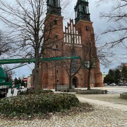 Pielęgnacja drzew w okolicy Ostrowa Tumskiego w Poznaniu