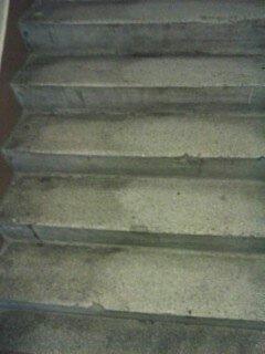 Betonowe schody z widocznymi śladami wilgoci i zabrudzeń, sfotografowane z dołu pod kątem, ukazujące teksturę i szaro-zieloną kolorystykę.
