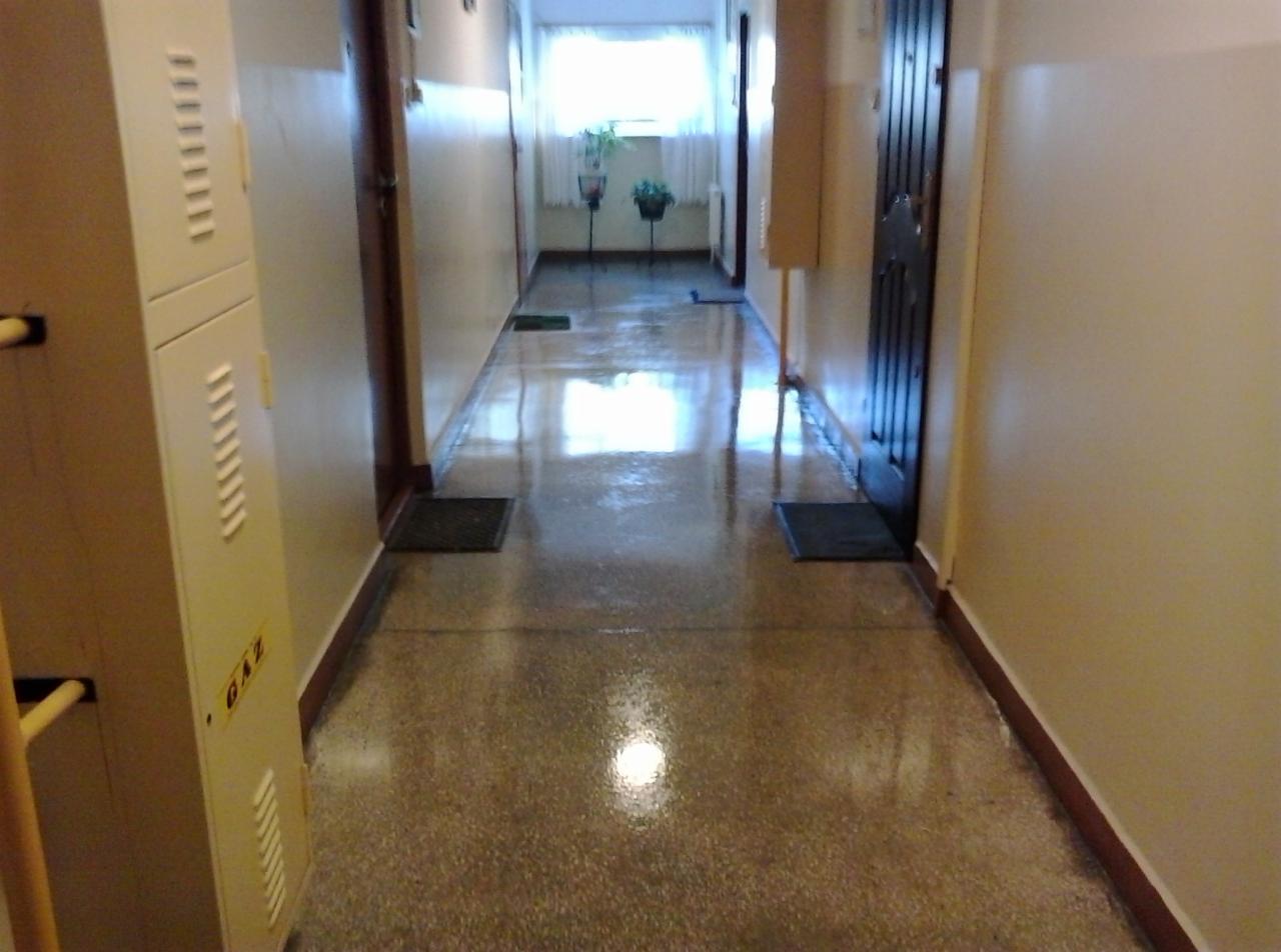 Błyszczący, umyty korytarz w bloku z jasnymi ścianami, ciemnymi drzwiami i gazomierzem po lewej. Widoczne wycieraczki i rośliny w doniczkach w głębi.