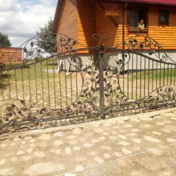 Kuta brama wjazdowa z motywem roślinnym, widok z zewnątrz na posesję z drewnianym domem i osobą w oknie.