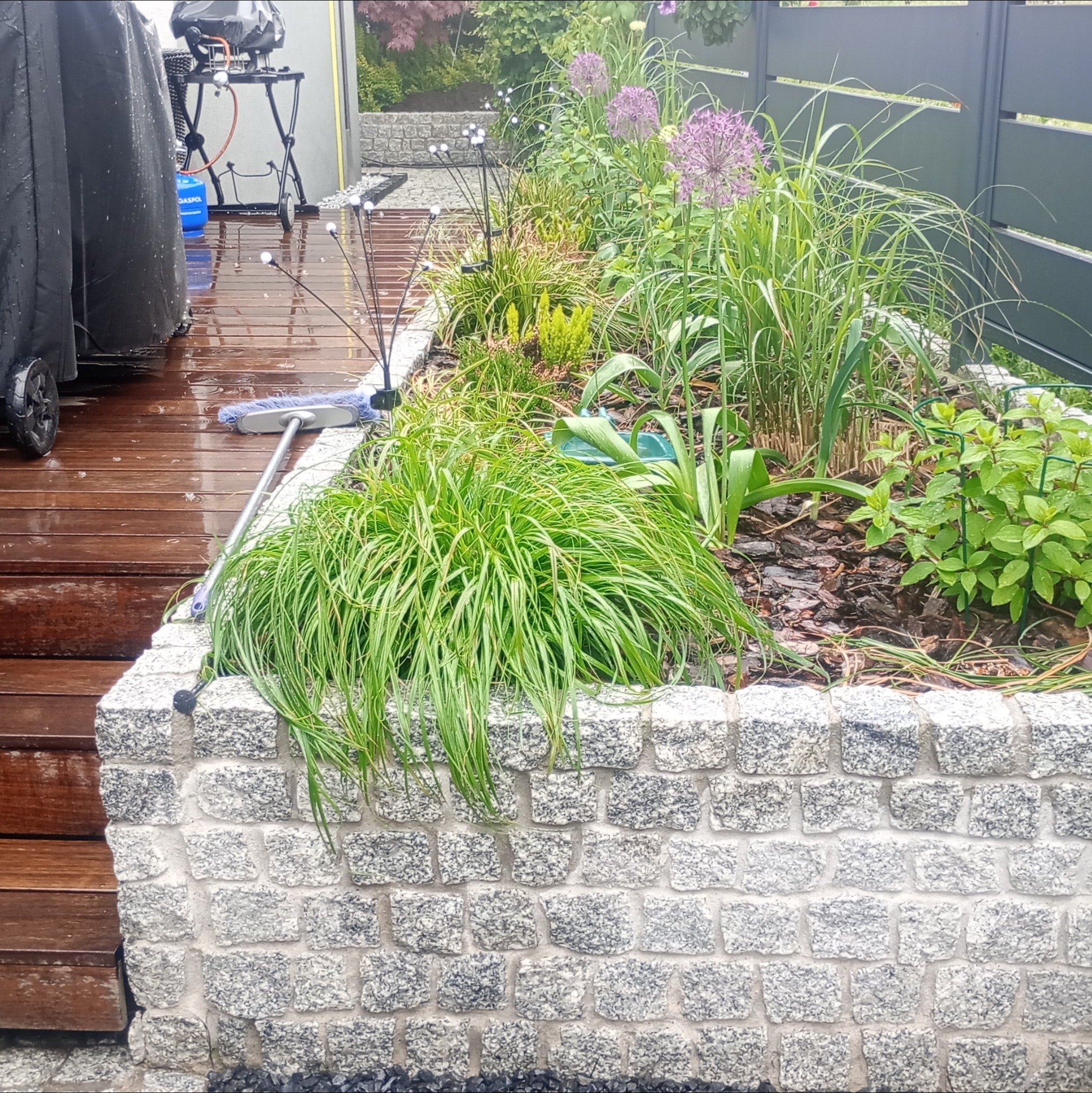 Kamienna rabata z roślinami ozdobnymi i drewnianym tarasem. Widoczny mop na brzegu, sugerujący świeże sprzątanie po deszczu.