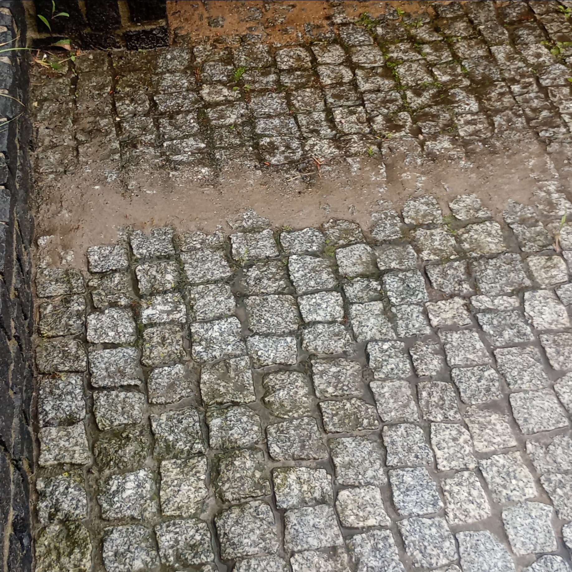 Mokre, szare kostki granitowe ułożone w regularny wzór, częściowo pokryte piaskiem i drobną roślinnością. Widoczne krawędzie z ciemnego kamienia.