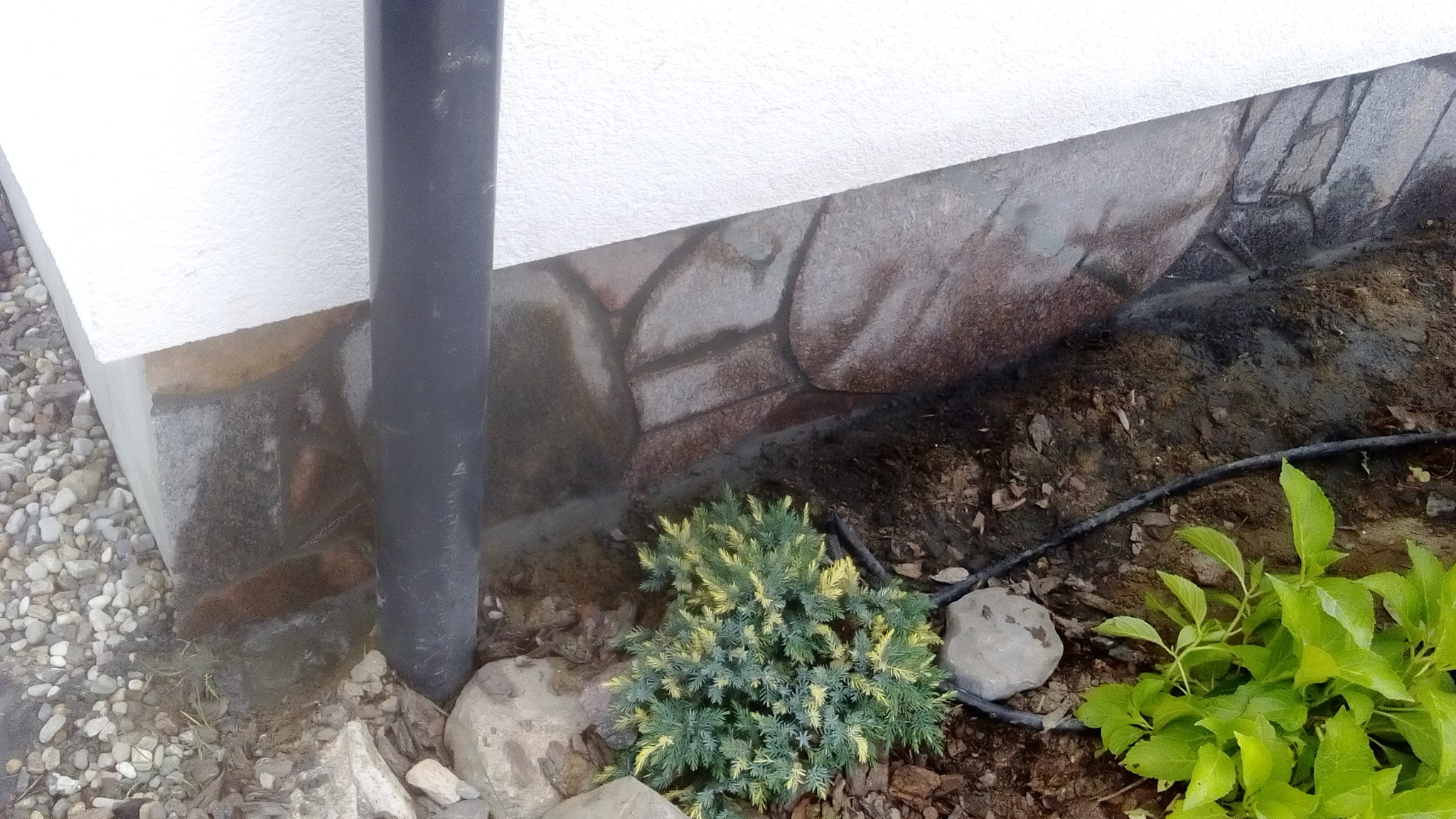 Kamienna okładzina elewacyjna w dolnej partii budynku, z widoczną rurą spustową i elementami zieleni. Dekoracyjne kamienie wokół roślin.