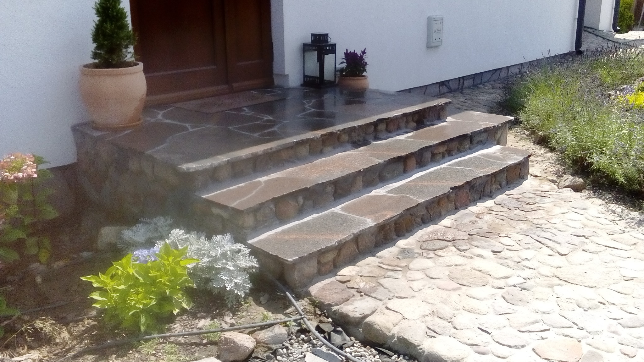 Kamienne schody wejściowe z nieregularnych płyt, prowadzące do drzwi. Na stopniach widoczne ślady wilgoci, obok roślinność i kamienny chodnik.