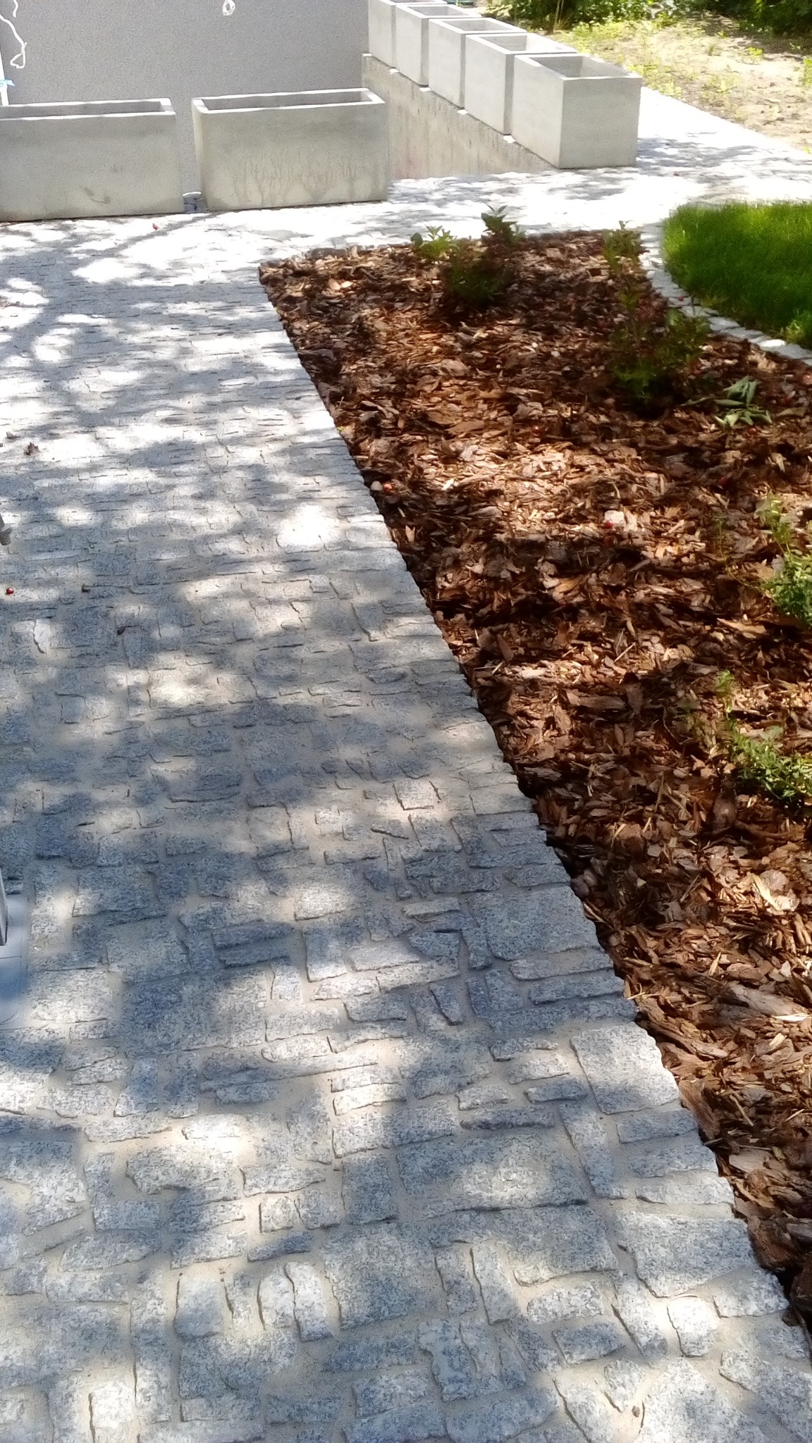 Granitowa ścieżka w ogrodzie z korą i betonowymi donicami. Cieniowana powierzchnia kostki, regularny wzór ułożenia, jasne donice. Ujęcie z góry.