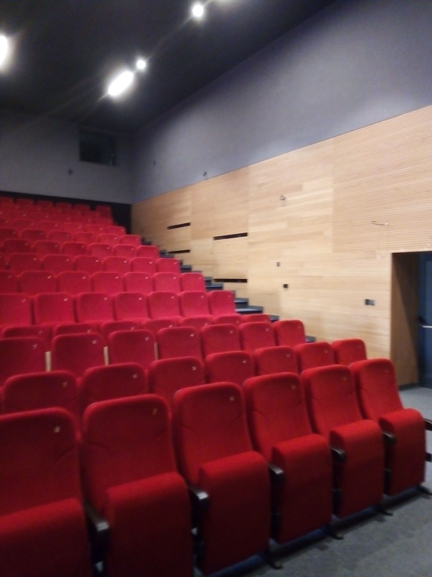 Sala kinowa z rzędami czerwonych foteli, drewnianą ścianą i szarym sufitem z oświetleniem punktowym.