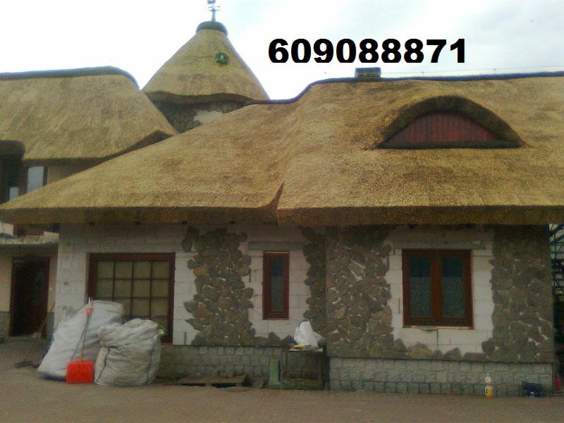 Strzcha Dekarstwo trzcinowe