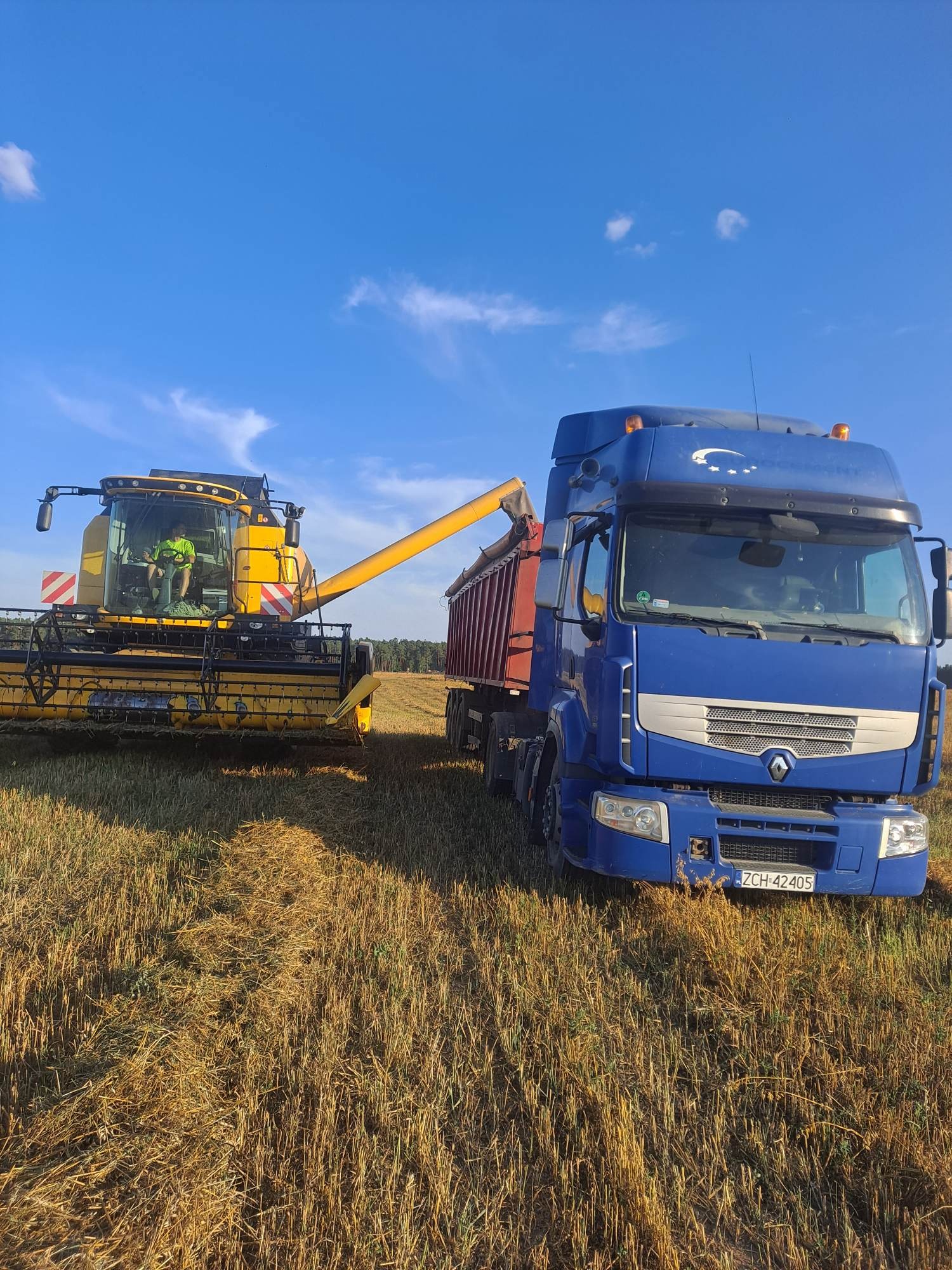 Żółty kombajn zbożowy z operatorem w kabinie, przesypuje zboże do czerwonej naczepy niebieskiej ciężarówki Renault na polu po żniwach, błękitne niebo z chmurami w tle.