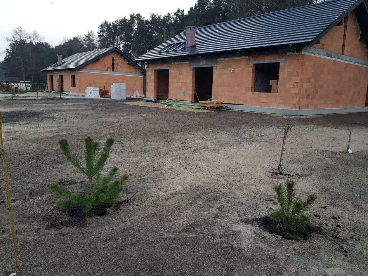 Dwa budynki w stanie surowym otwartym z ciemną dachówką, widoczne z zewnątrz, z młodymi drzewkami iglastymi na pierwszym planie.