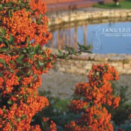 Ognik szkarłatny obsypany owocami na tle oczka wodnego z kamiennym brzegiem, w tle logo pracowni architektury.