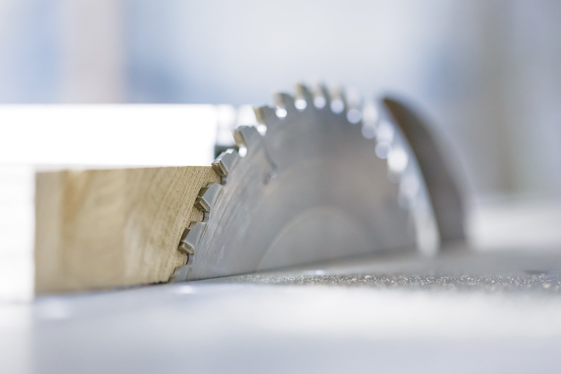 Ostrze piły tarczowej przecinające drewniany element, widoczne drobne wióry, jasne tło.