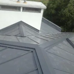 Szary dach z blachy na rąbek stojący, z widocznym kominem z białym daszkiem i dwoma przewodami wentylacyjnymi, na tle zieleni.