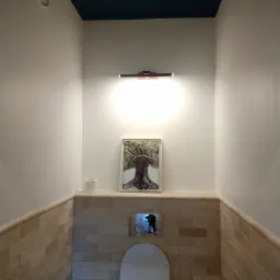 Wnętrze łazienki po odświeżeniu, z toaletą, beżowymi płytkami na ścianach do połowy wysokości, ciemnoniebieskim sufitem, oświetleniem punktowym i obrazkiem z motywem drzewa.