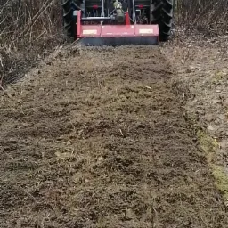 Ciężki traktor z kosiarką bijakową mulczuje teren zarośnięty suchymi krzewami i trawą, przygotowując go pod uprawę. Widok z tyłu na maszynę i świeżo skoszony pas ziemi.