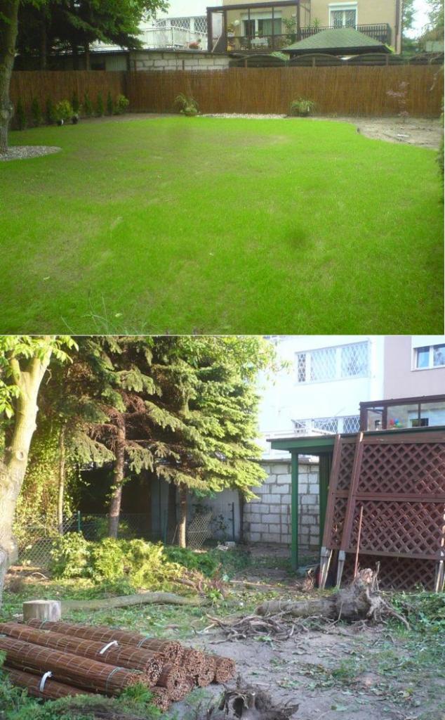 Dzielone zdjęcie ogrodu: górna część przedstawia świeżo skoszony trawnik z bambusowym ogrodzeniem i nasadzeniami, dolna część pokazuje teren przed realizacją z pniem drzewa, gałęziami i zwiniętymi...