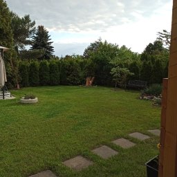 Rozbiórki i wyburzenia kompleksowo - Zadbany ogród z równo przystrzyżonym trawnikiem, ozdobnymi krzewami, drzewami i elementami dekoracyjnymi, takimi jak kwietniki i ścieżka z płyt.