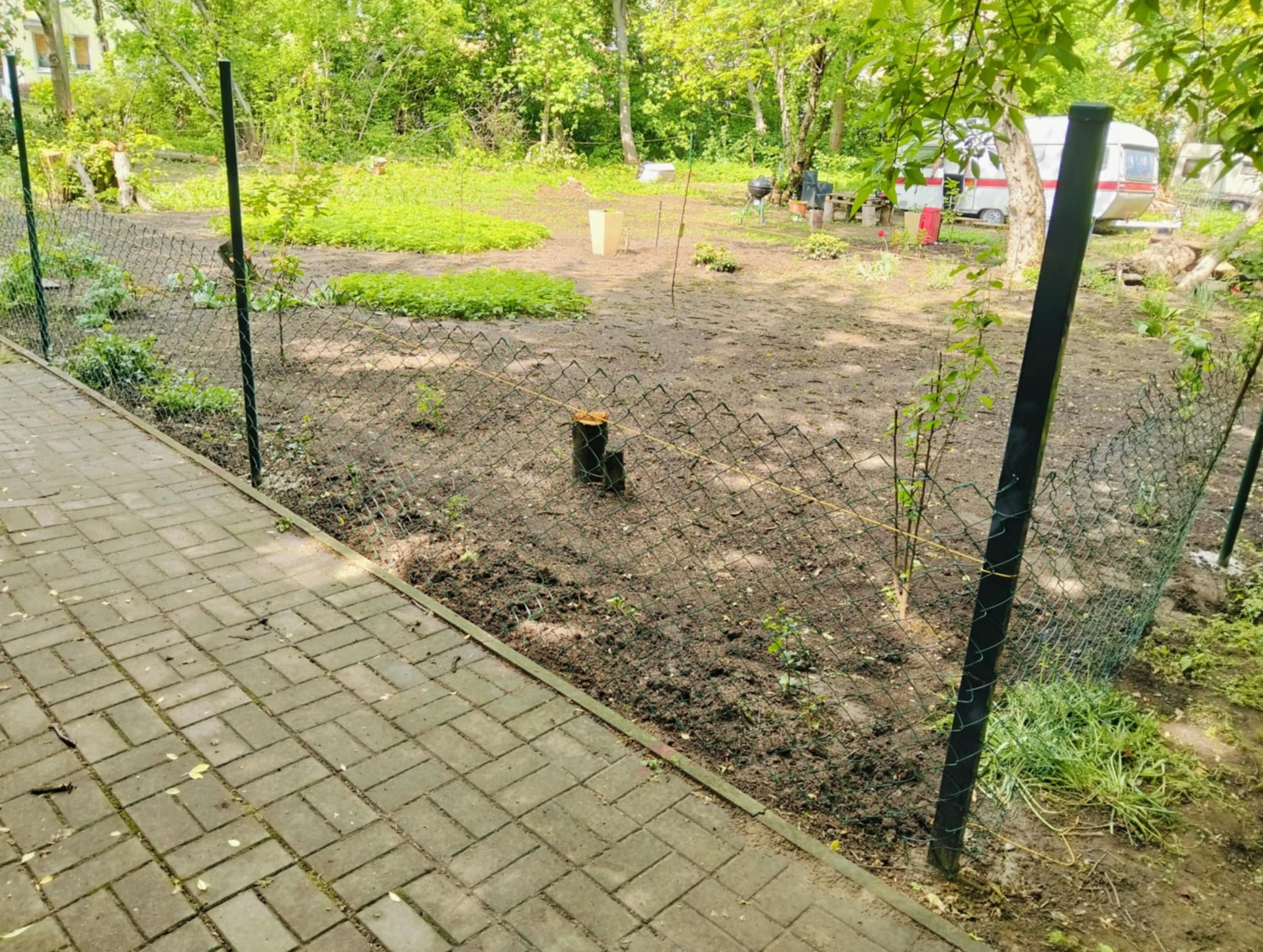 Nowo postawione ogrodzenie z siatki w ogrodzie, widoczne słupki i siatka, obok ścieżka z kostki brukowej, w tle zieleń i przyczepa kempingowa.