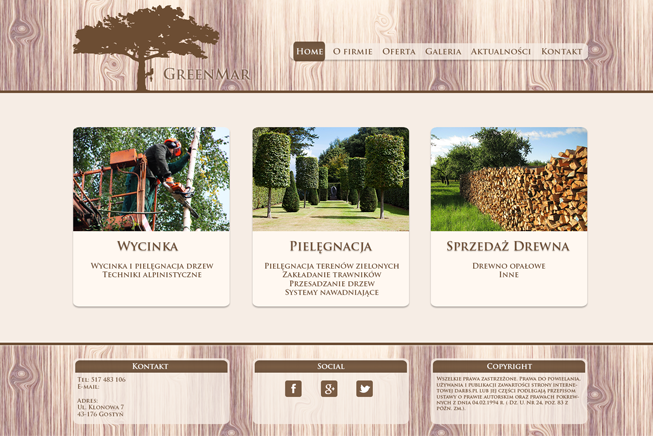 Projekt, realizacja, wdrożenie logo strony.