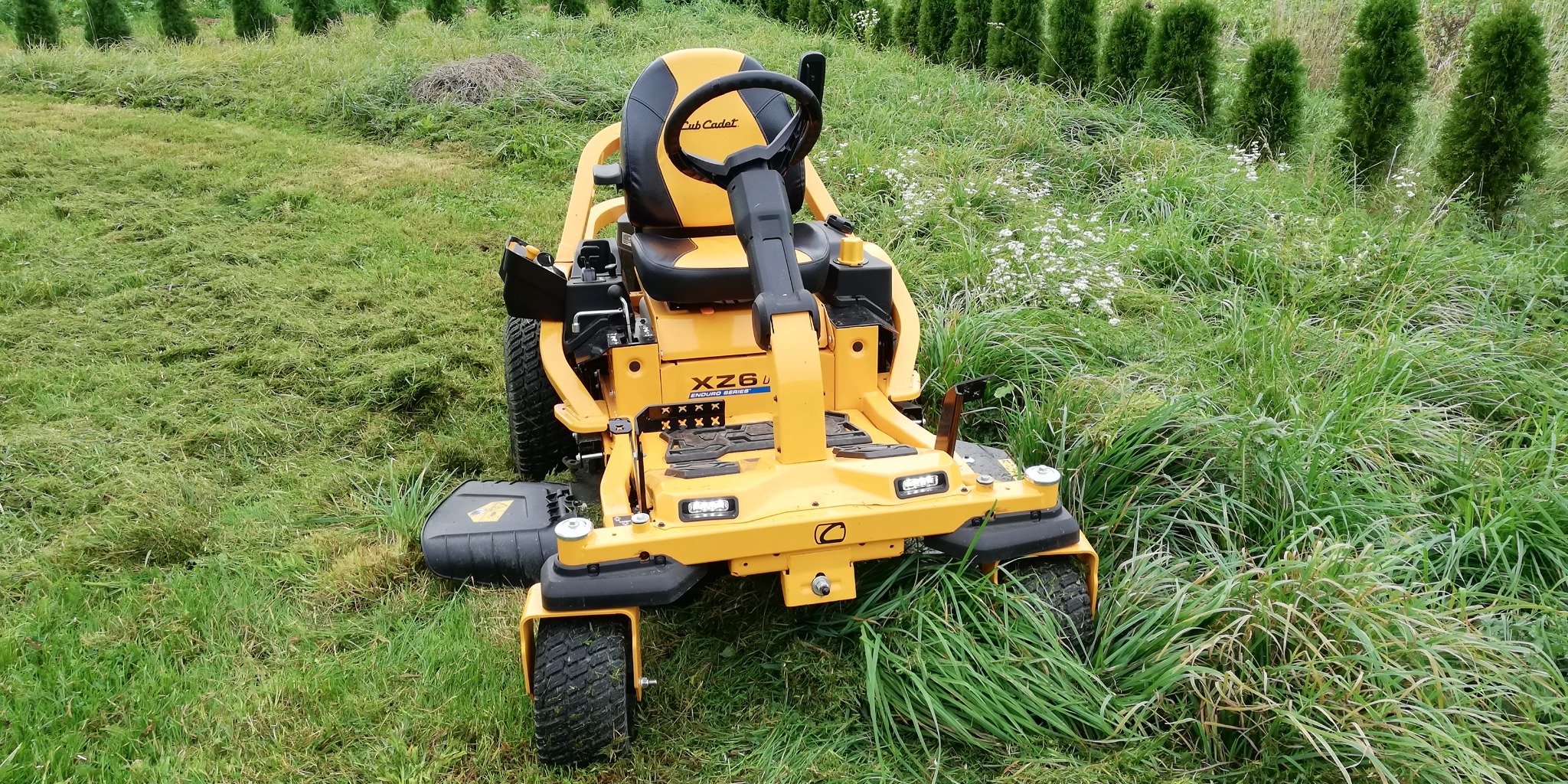 Żółta kosiarka samojezdna Cub Cadet XZ6 L Enduro Series na trawniku z częściowo skoszoną trawą i rzędem tuj w tle.