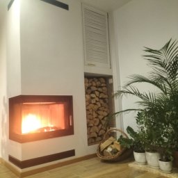 Suchodolski - Nowoczesny kominek narożny z paleniskiem, obok drewno ułożone w niszy ściennej, rośliny doniczkowe i drewniana podłoga. Minimalistyczny design wnętrza.