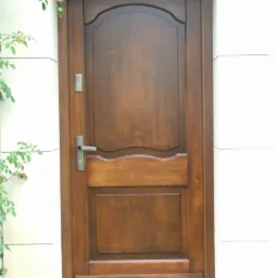 Ciemnobrązowe, drewniane drzwi wejściowe z ozdobnym panelem i metalową klamką, zamontowane w jasnej elewacji budynku, z fragmentem zielonej rośliny po lewej stronie.