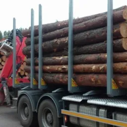 Ciężarówka z czerwonym żurawiem załadowana okrąglakami z korą, widok z boku, na drugim planie drzewa.