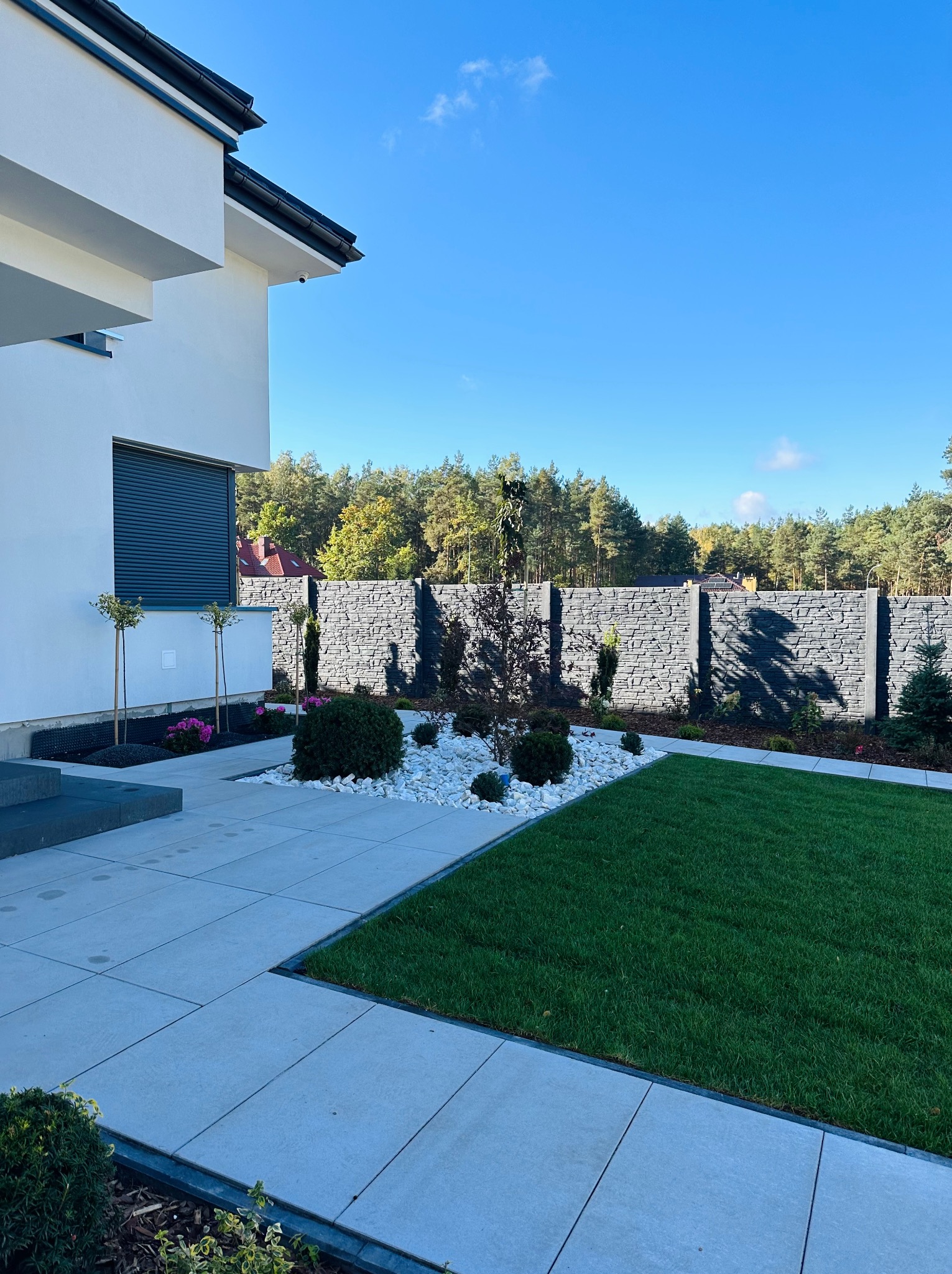 Nowoczesny ogród przydomowy z równo przystrzyżonym trawnikiem, białymi kamieniami, niskimi krzewami i drzewkami, oddzielony od lasu szarym, kamiennym murem.