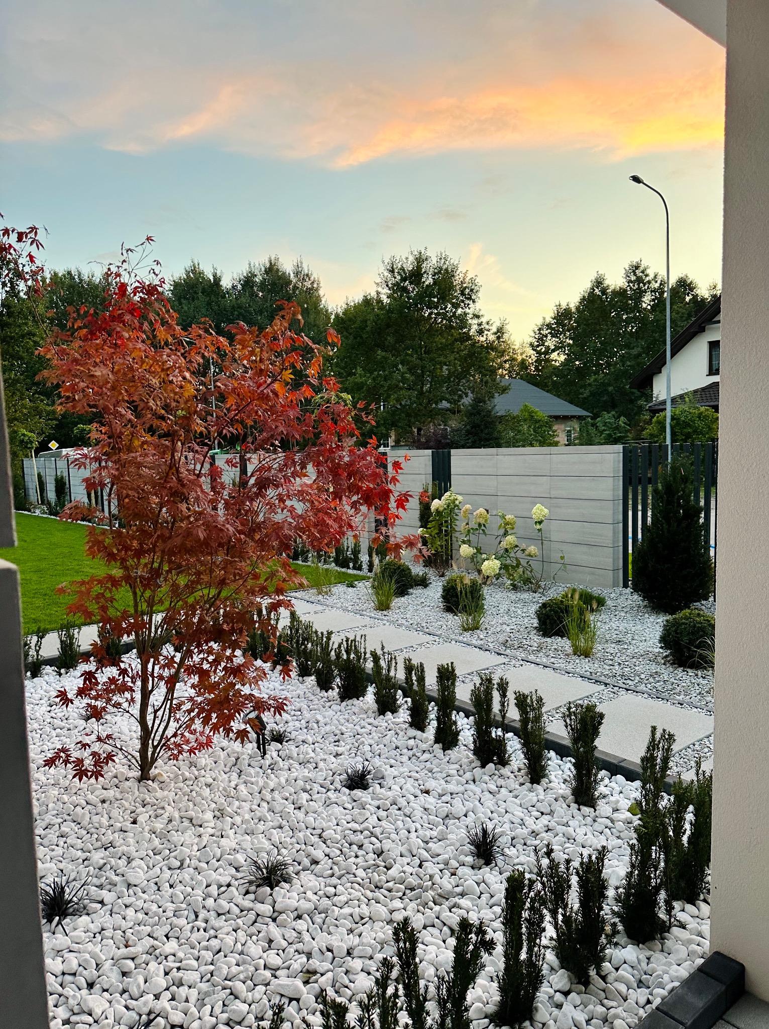 Nowoczesny ogród z białymi kamieniami, ścieżką z płyt, drzewem o czerwonych liściach i zielonymi krzewami podświetlony wieczornym światłem.
