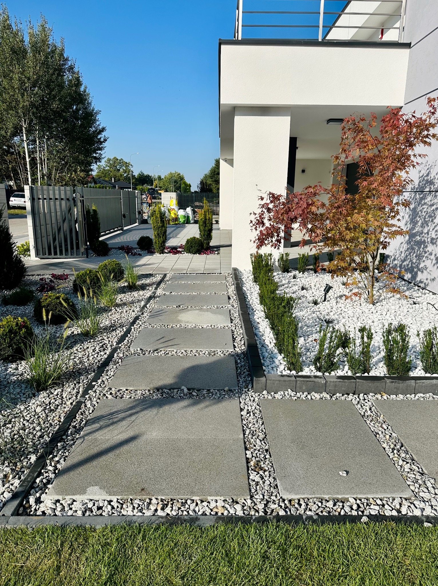 Nowoczesny ogród z ścieżką z betonowych płyt, białymi kamieniami, ozdobnymi trawami i krzewami prowadzącą do minimalistycznego domu z drzewem o czerwonych liściach.