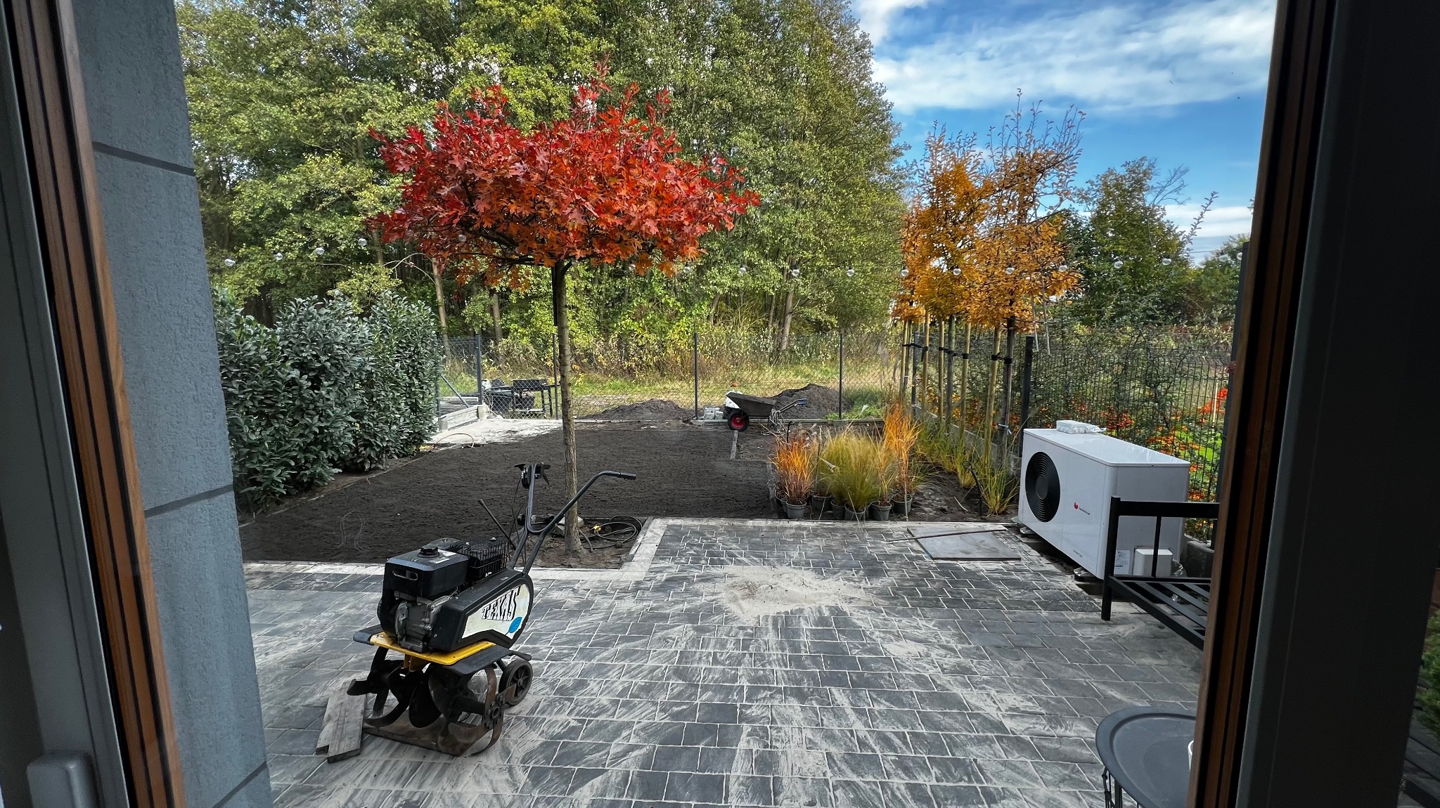 Przygotowanie terenu pod ogród: glebogryzarka na tle świeżo przekopanej ziemi, drzewo o czerwonych liściach i sadzonki traw w doniczkach. Widok z wnętrza domu.