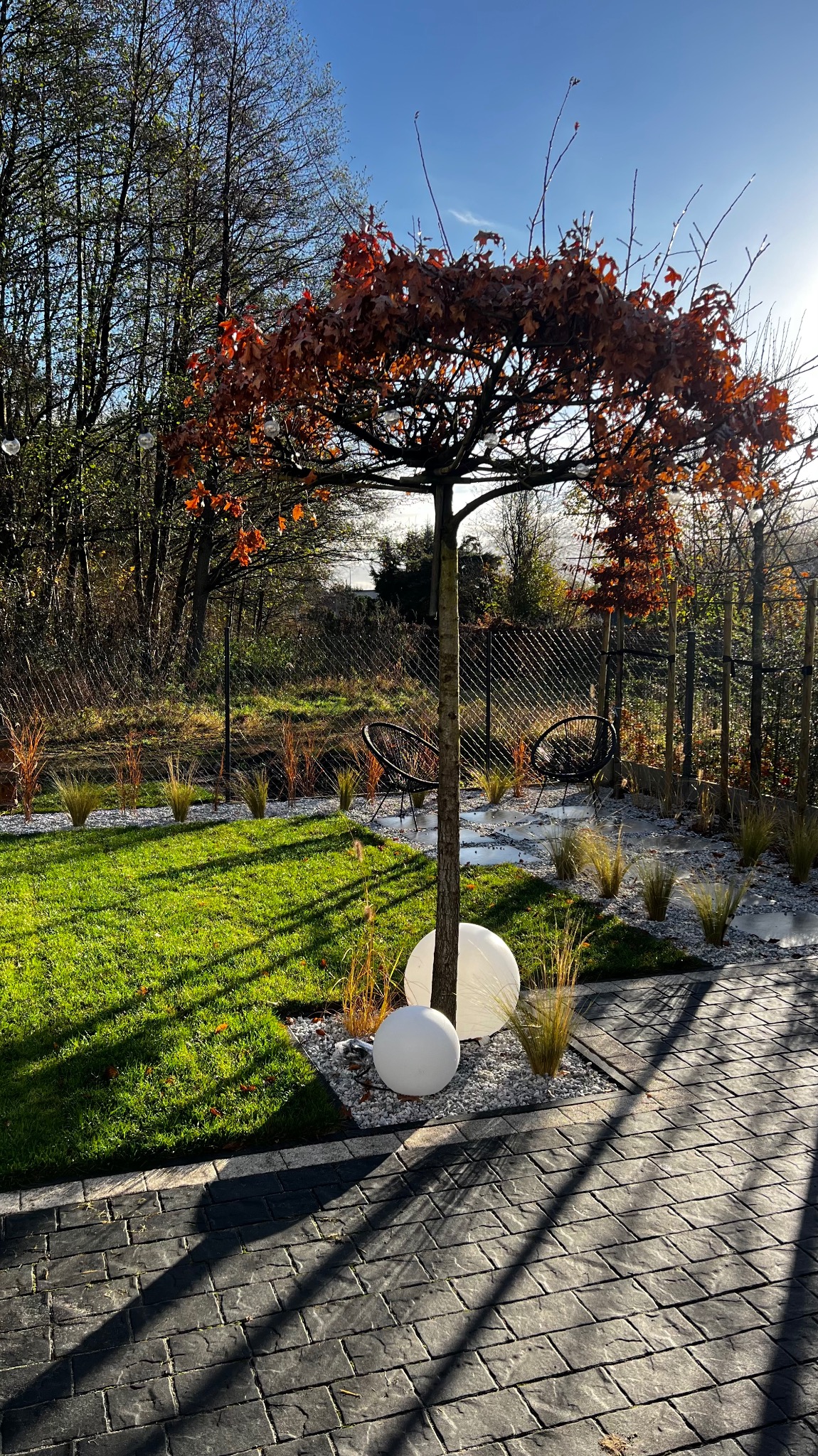 Ogród z równo przystrzyżonym trawnikiem, drzewem z brązowymi liśćmi i dekoracyjnymi kulami. Widoczne krzesła ogrodowe i ścieżka z kostki brukowej w cieniu.