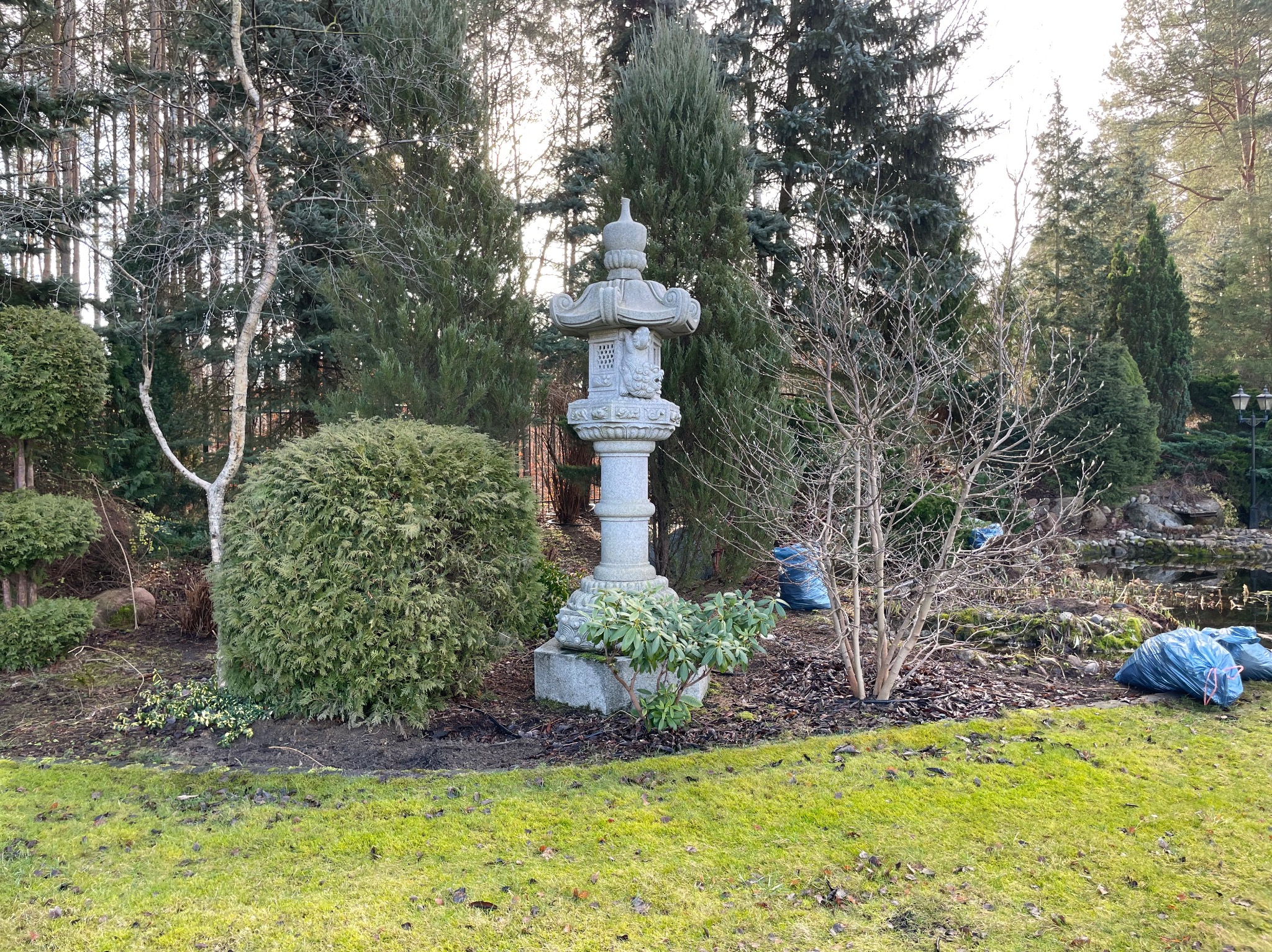 Ogród w stylu japońskim z kamienną latarnią, kulistymi krzewami i workami na liście. Widoczne drzewa iglaste i trawnik. Słoneczny dzień.