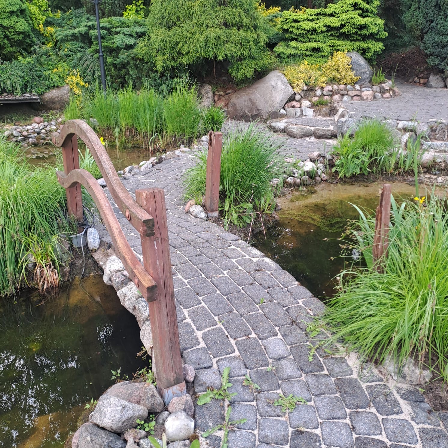 Ogród z oczkiem wodnym i kamiennym mostkiem. Bujna roślinność, kamienne ścieżki i starannie zaaranżowana przestrzeń tworzą malowniczy krajobraz.
