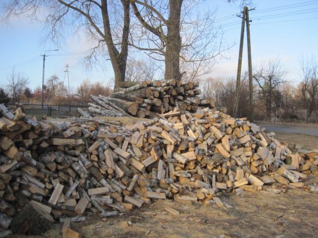Stos pociętego drewna brzozowego na opał ułożony na ziemi, z widocznymi w tle słupami energetycznymi i drzewami bez liści.
