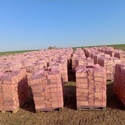 Energia z natury Grzegorz Konecki - Rzędy worków z drewnem kominkowym na paletach, ułożone na polu pod błękitnym niebem. Widok z perspektywy lekko z góry, ukazujący dużą ilość przygotowanego drewna.