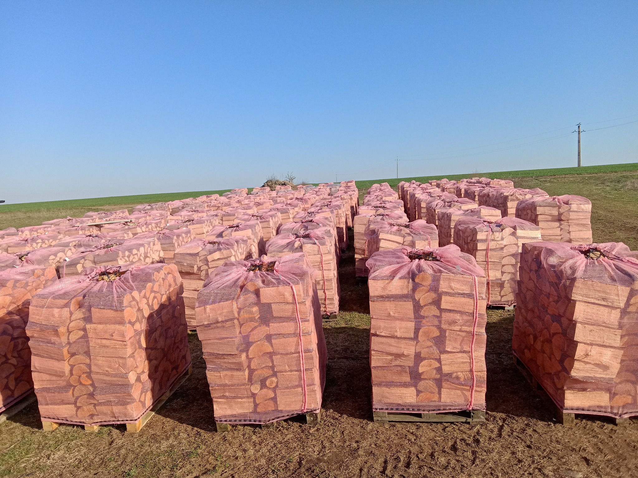 Rzędy worków z drewnem kominkowym na paletach, ułożone na polu pod błękitnym niebem. Widok z perspektywy lekko z góry, ukazujący dużą ilość przygotowanego drewna.